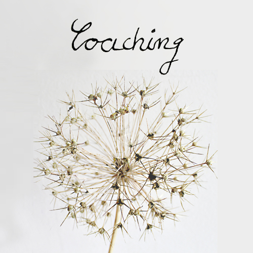 Katarins Gaub Coaching