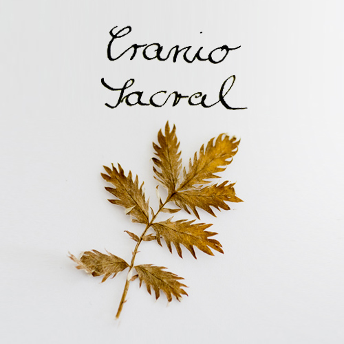 Katarins Gaub Craniosacrale Körperarbeit